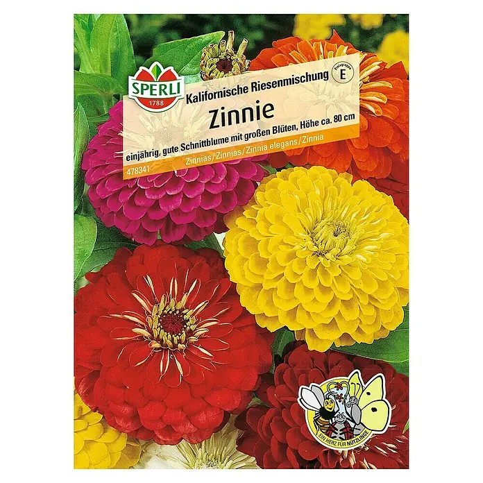 Sperli Blumensamen Zinnie kalifornische Riesen - Zinnia elegans, Mehrfarbig - Draufsicht