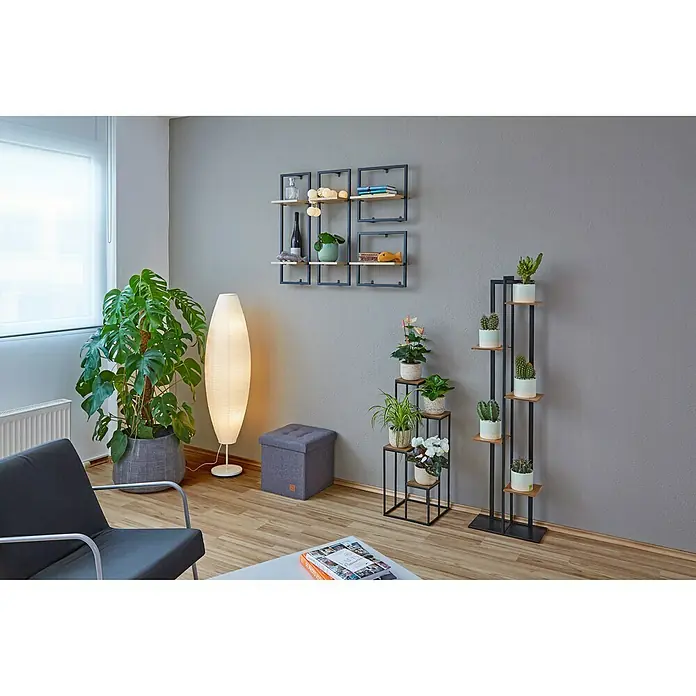 Phönix Wandregal Soho - L x B x H: 20 x 35 x 35 cm, Anzahl Böden: 1 Stk. - Stimmungsaufnahme