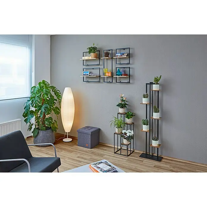 Phönix Wandregal Soho - L x B x H: 20 x 35 x 35 cm, Anzahl Böden: 1 Stk. - Stimmungsaufnahme