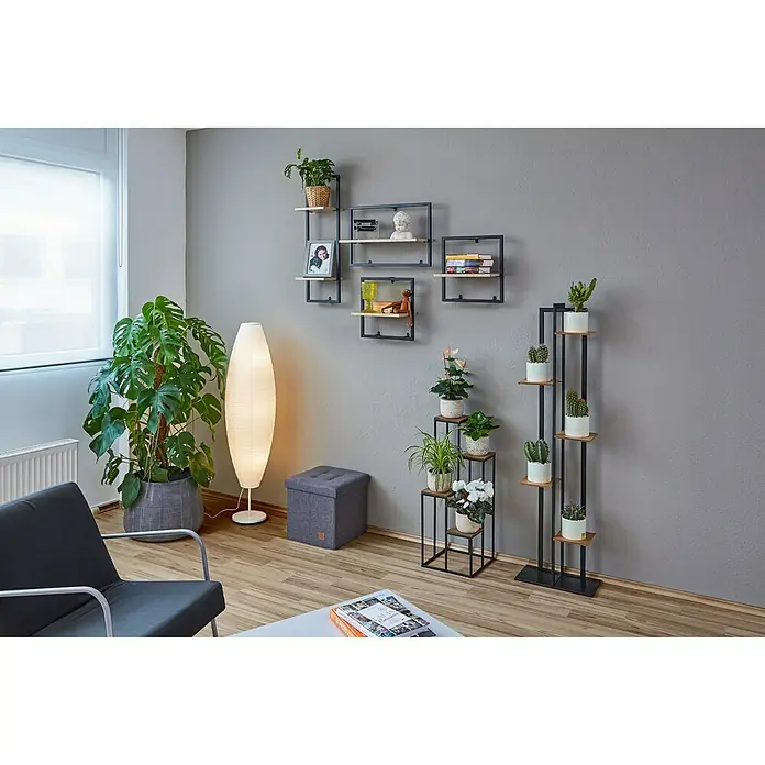 Phönix Zidni regal Soho - D x Š x V: 20 x 35 x 35 cm, Broj polica: 1 Kom. - Živopisni prikaz