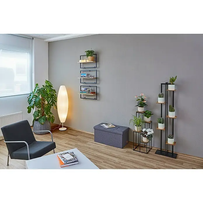 Phönix Zidni regal Soho - D x Š x V: 20 x 54 x 35 cm, Broj polica: 1 Kom. - Živopisni prikaz