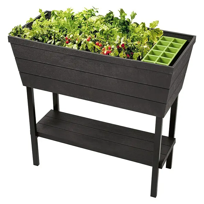 Keter Hochbeet Urban Bloomer - 82 x 38 cm, Anthrazit - Diagonale Ansicht