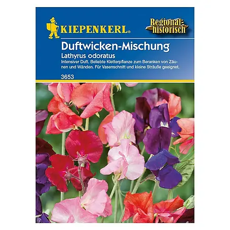 Kiepenkerl  Blumensamen Duftwicke