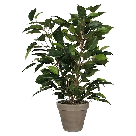Planta artificial Ficus Natasja