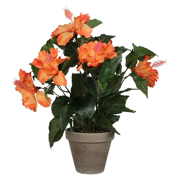 Planta artificial Hibiscus - Altura: 40 cm, Naranja, Plástico - Vista frontal