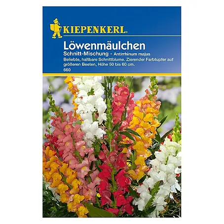 Kiepenkerl  Blumensamen Löwenmäulchen
