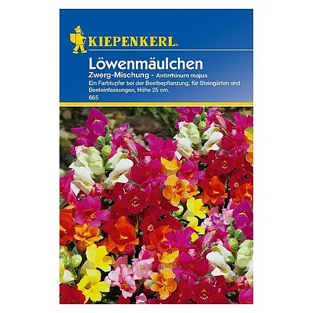 Kiepenkerl  Blumensamen Löwenmäulchen
