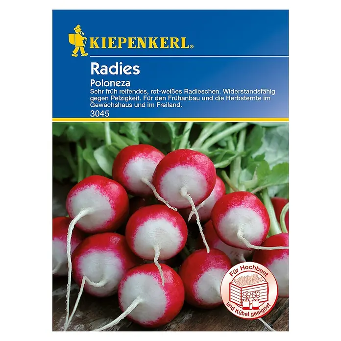 Kiepenkerl Gemüsesamen Radieschen -  - Draufsicht