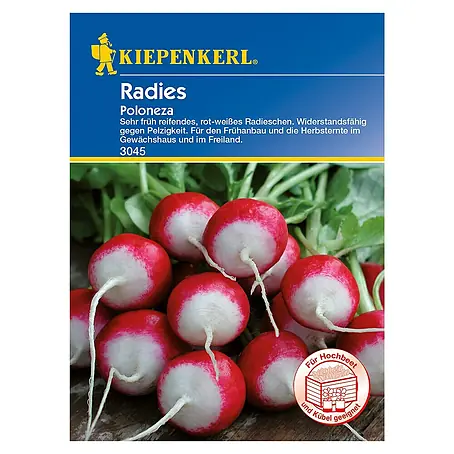 Kiepenkerl  Gemüsesamen Radieschen