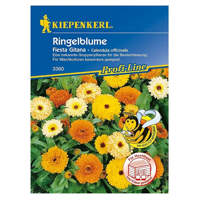 Kiepenkerl Blumensamen Ringelblume - Calendula officinalis, Fiesta Gitana, Blütezeit: Juli - Draufsicht