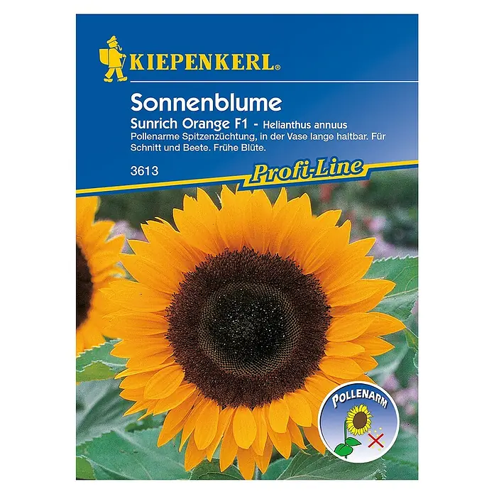 Kiepenkerl Profi-Line Blumensamen Sonnenblume - Helianthus annuus, Sunrich Orange, Blütezeit: Juli - Draufsicht