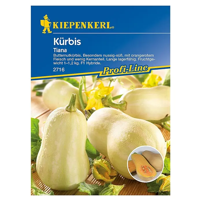Kiepenkerl Profi-Line Gemüsesamen Kürbis - Tiana, Cucurbita moschata, Erntezeit: September - Draufsicht