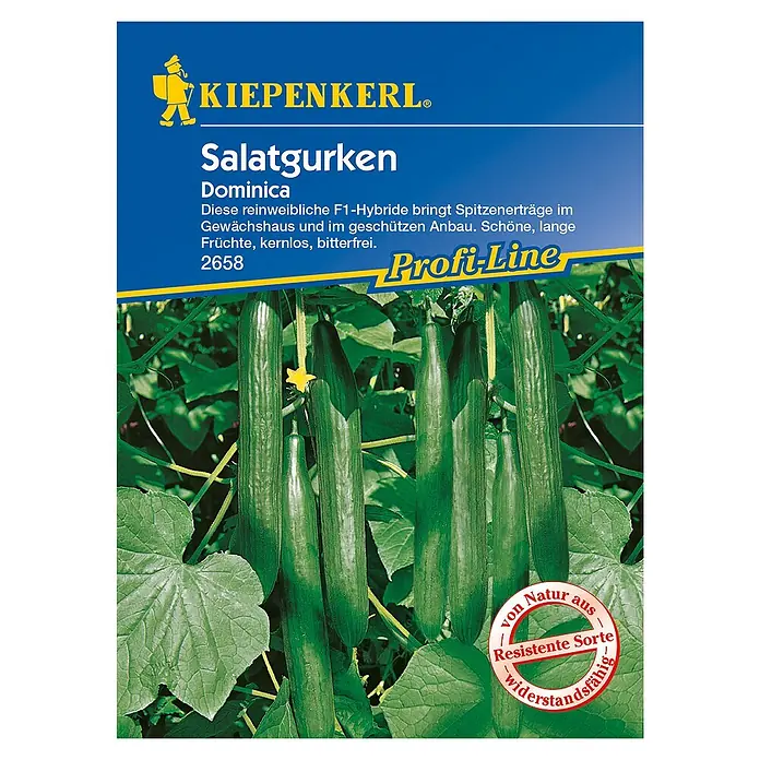 Kiepenkerl Profi-Line Gemüsesamen Salatgurke - Dominica, Cucumis sativus, Erntezeit: Juni - Draufsicht