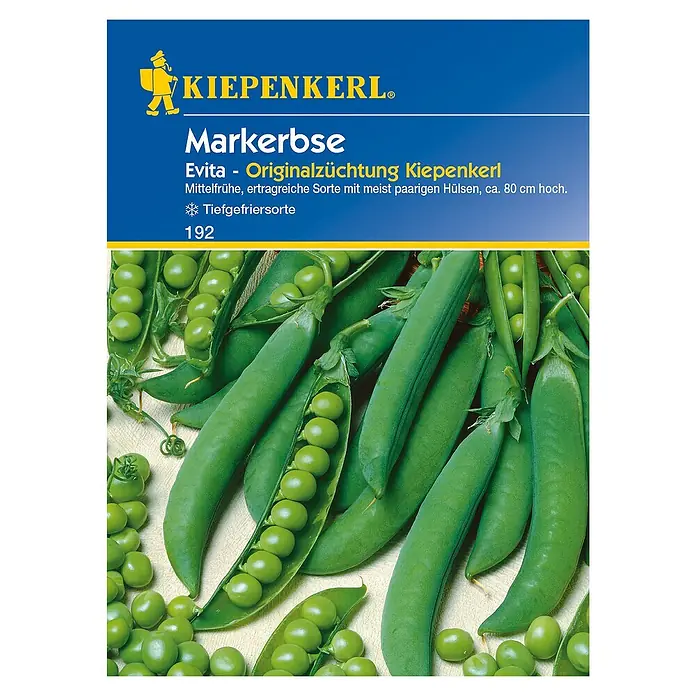 Kiepenkerl Profi-Line Gemüsesamen Markerbse - Evita, Pisum sativum, Erntezeit: Juni - Draufsicht