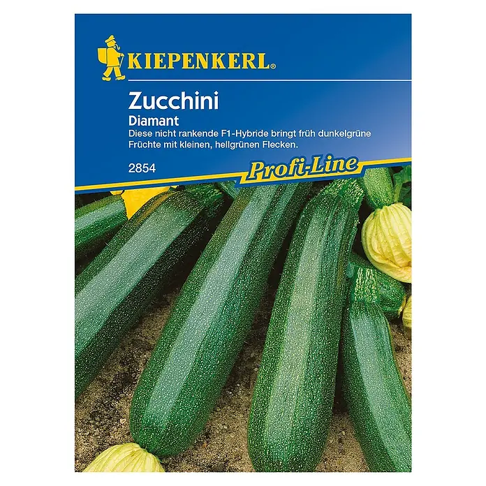 Kiepenkerl Profi-Line Gemüsesamen Zucchini - Diamant F1, Cucurbita pepo, Erntezeit: Juni - Draufsicht