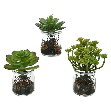Planta artificial Suculenta