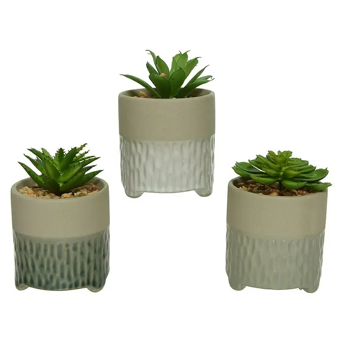 Planta artificial Suculenta - Altura: 10 cm, Verde, Plástico - Vista frontal