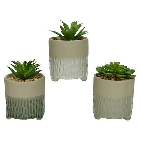 Planta artificial Suculenta