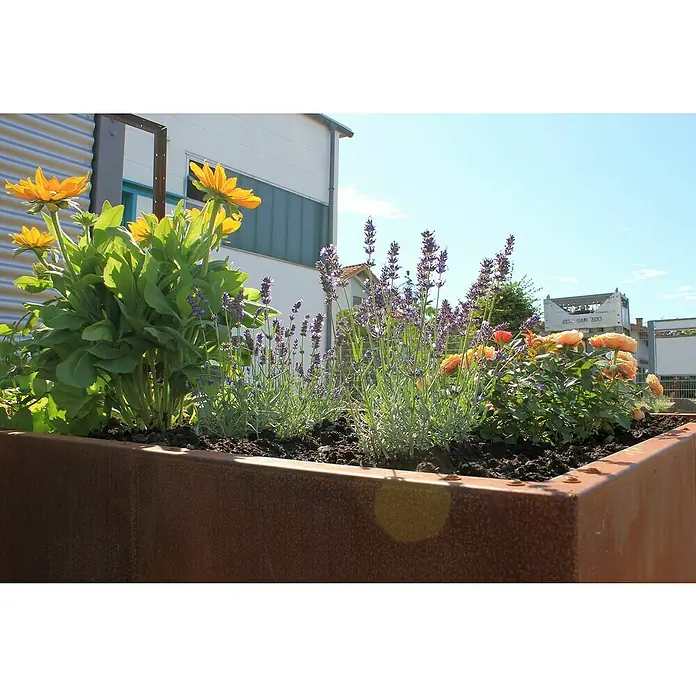 Palatino Hochbeet Urban - 200 x 50 x 70 cm, Cortenstahl - Stimmungsaufnahme