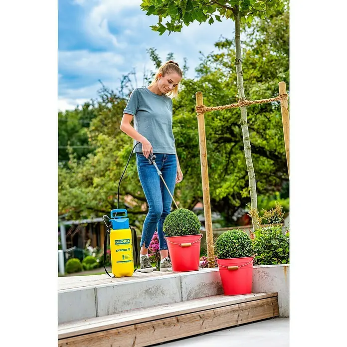 Gloria Sprühaufsatz 270° Pflanzenschutz Set Anti-Zünsler - Passend für: Gloria Drucksprühgeräte 3 - 18 l - Anwendungsbeispiel