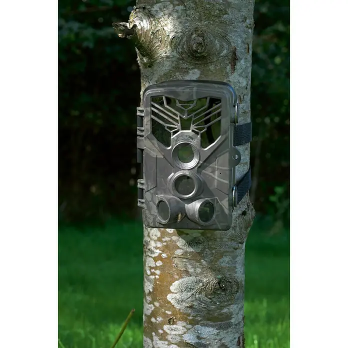 Denver Wildkamera WCT-8020W - 2″ LCD, Erfassungswinkel: 108 °, ICR-Infrarotfilter, 1.920 x 1.080 Pixel (Full HD) - Stimmungsaufnahme