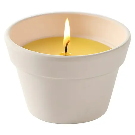Vela de citronela