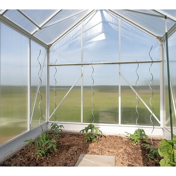 Westmann Gewächshaus - 252 x 190 x 214 cm, Weiß - Stimmungsaufnahme