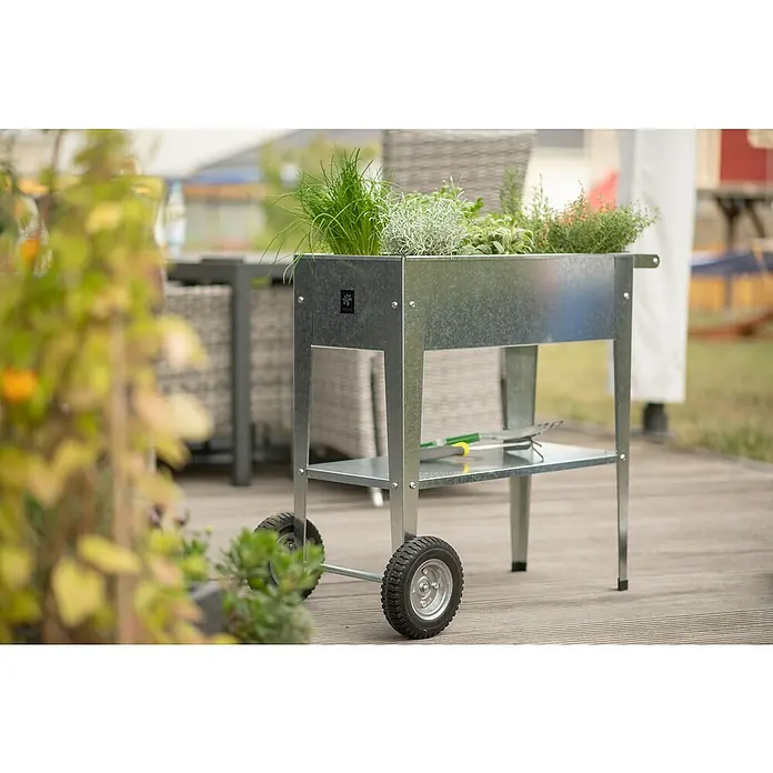 Kräuterhochbeet Urban - L x B x H: 75 x 50 x 80 cm, Silber - Stimmungsaufnahme