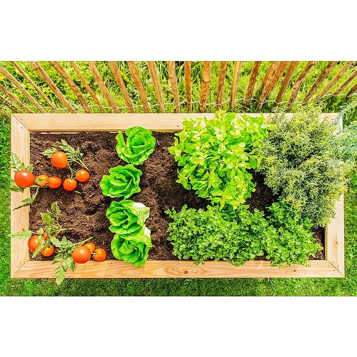 Westmann Hochbeet Lärche 170 - L x B x H: 170 x 90 x 84 cm, Lärche - Stimmungsaufnahme