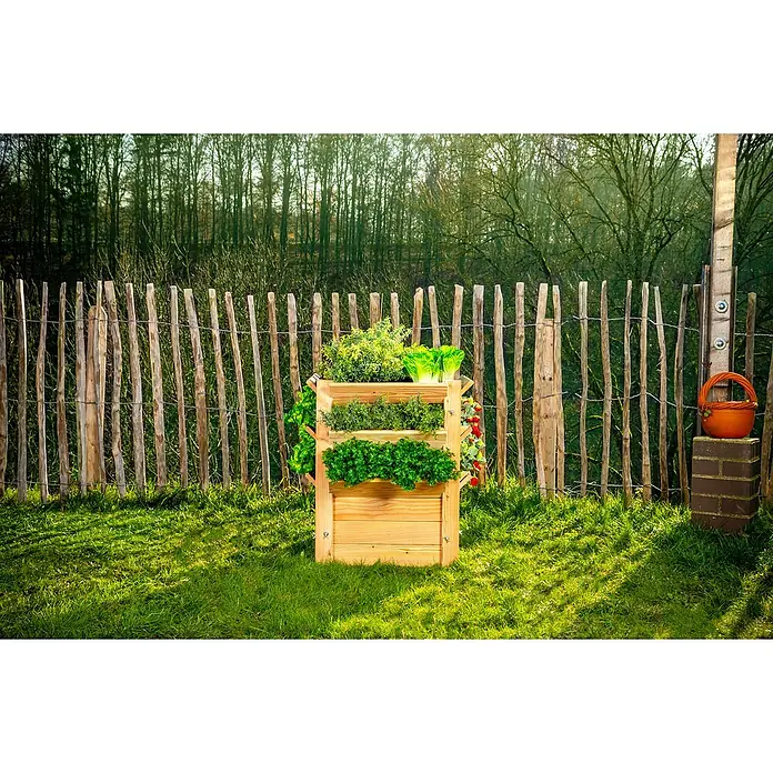 Westmann Hochbeet Premium L - 65 x 65 x 73 cm, Holz - Stimmungsaufnahme