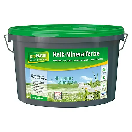 Baufan Pronatur Mineralfarbe