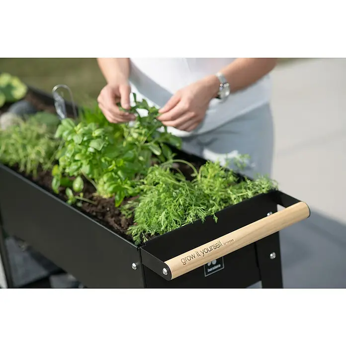 Herstera_Garden Kräuterhochbeet Wheels - L x B x H: 186 x 50 x 80 cm, Schwarz - Anwendungsbeispiel