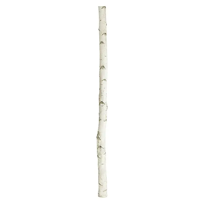 Birkenstamm - 3 m, Durchmesser: 5 cm - 10 cm, Unbehandelt - Vorderansicht