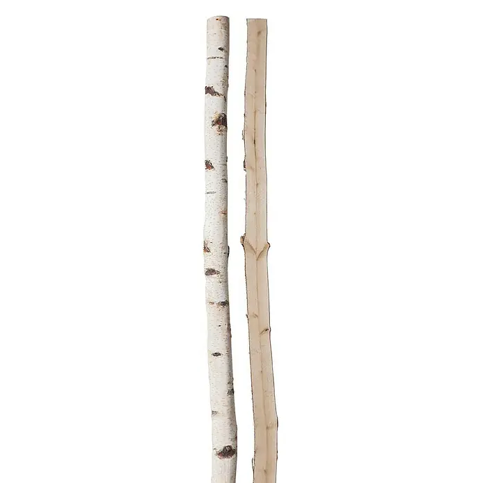 Birkenhalbstamm - 0,8 m, Durchmesser: 5 cm - 10 cm, Unbehandelt - Vorderansicht