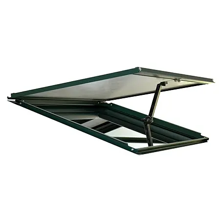 Rion  Dachfenster