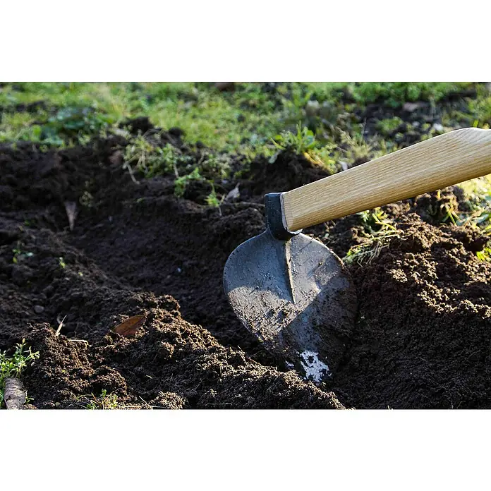Gardol Motika - Duljina: 135 cm, Srcoliki list - Proizvod u upotrebi