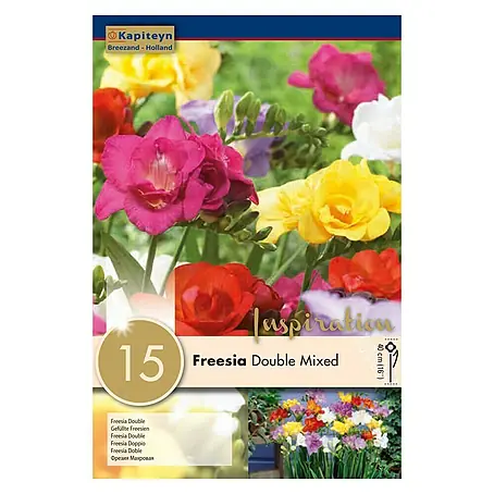 Kapiteyn  Bulbos de verano Freesia Double Mixed