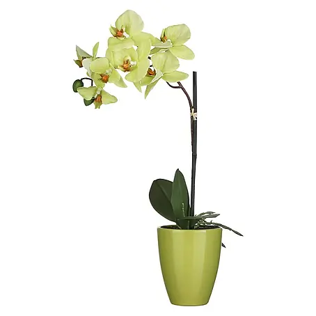 Planta artificial Orquídea