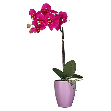Planta artificial Orquídea