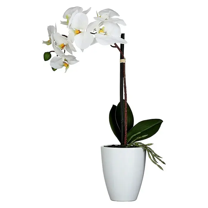 Planta artificial Orquídea - Altura: 60 cm, Blanca, Plástico - Vista frontal