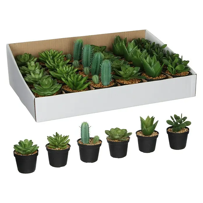Planta artificial Suculenta - Altura: 11 cm, Plástico - Vista angular