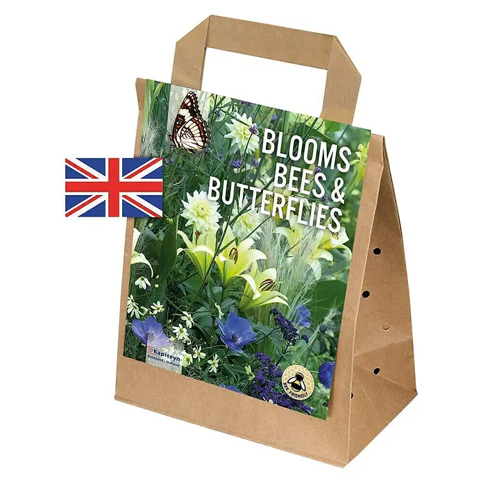 Kapiteyn Bulbos de otoño Bloom Bees & Buterflies - 30 ud. - Vista angular
