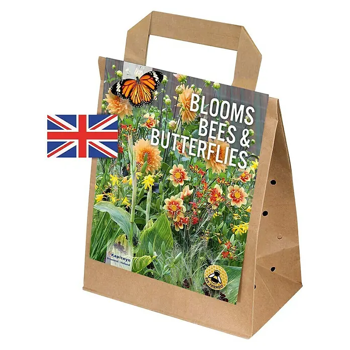 Kapiteyn Bulbos de verano Bloom Bees & Buterflies - 30 ud., Amarillo/Naranja - Vista angular