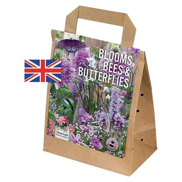Kapiteyn Bulbos de verano Bloom Bees & Buterflies - 30 ud., Lila/Rosa - Vista angular
