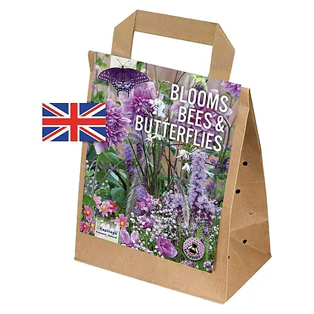 Kapiteyn  Bulbos de verano Bloom Bees & Buterflies