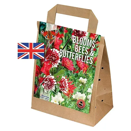 Kapiteyn  Bulbos de verano Bloom Bees & Buterflies