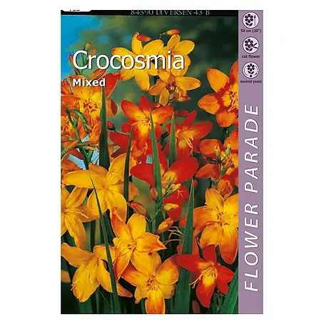 Kapiteyn  Bulbos de otoño Crocosmia