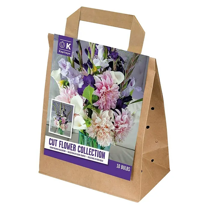 Kapiteyn Bulbos de verano Cut Flower Collection - 10 ud. - Vista angular
