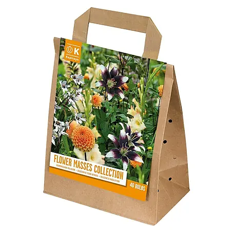 Kapiteyn  Bulbos de verano Flower Masses Collection