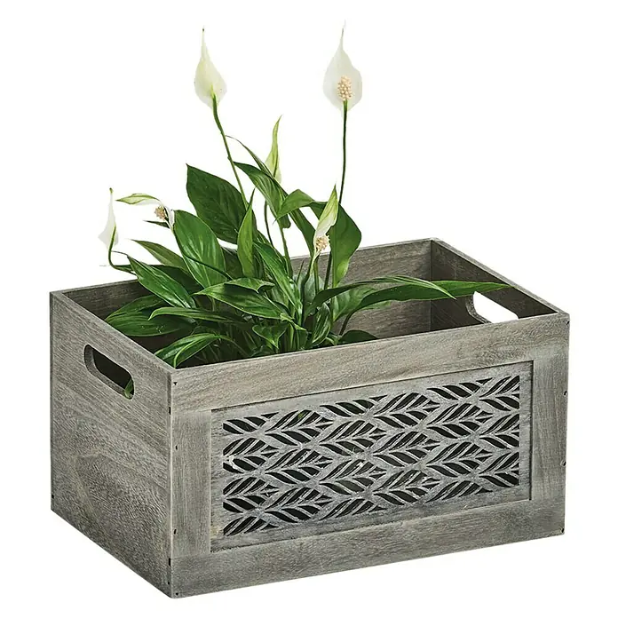 Zeller Present Aufbewahrungsbox Leaves S - L x B x H: 300 x 200 x 160 mm, Holz, Grau - Diagonale Ansicht